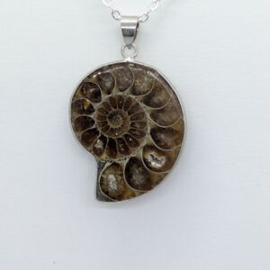 pendentif ammonite
