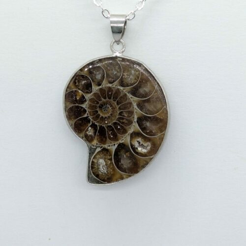 pendentif ammonite