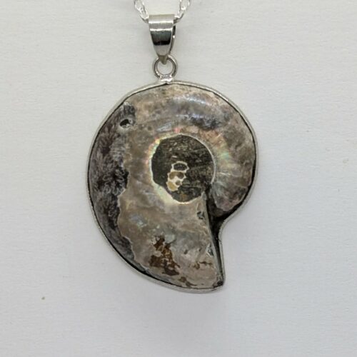 pendentif ammonite