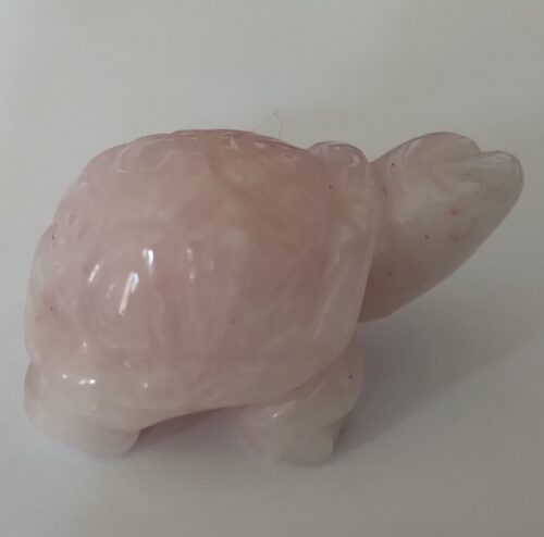 tortue quartz rose