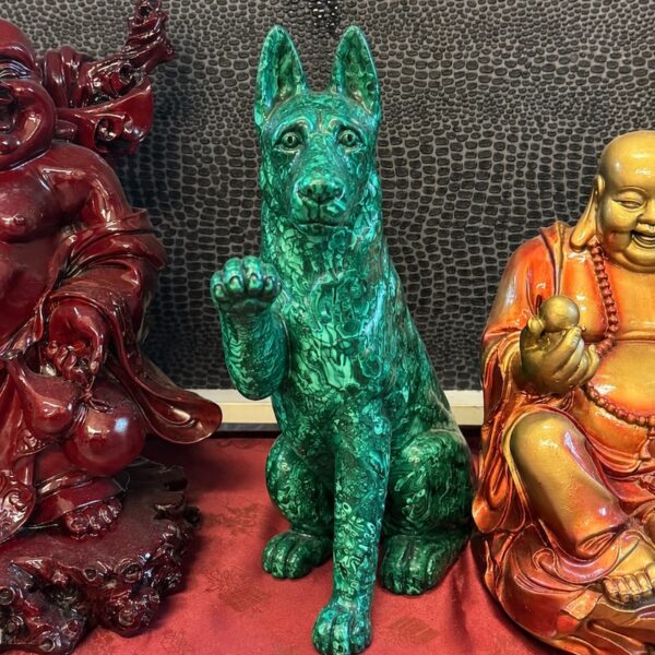 chien-malachite-oise-BBEA